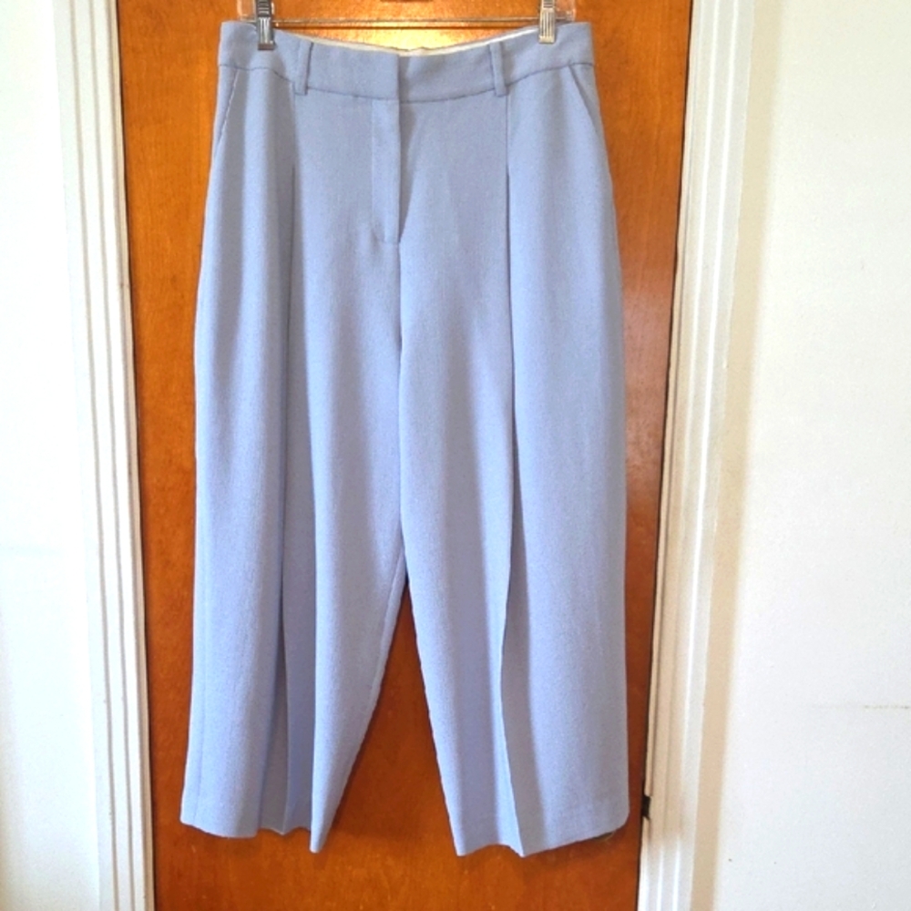 Rebecca Taylor Soft Blue Trousers